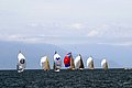 DSC_0109.jpg