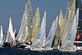 IMG_9003.JPG