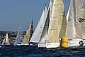 IMG_9032.JPG