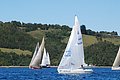 DSC_0132.JPG