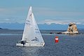 DSC_0446.JPG