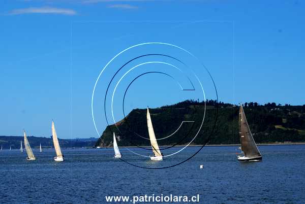 DSC_0362.JPG
