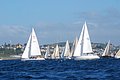 DSC_0263.JPG