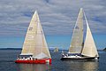 DSC_0445.JPG