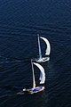 DSC_0626.JPG