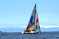DSC_0318.JPG