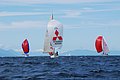 DSC_0685.JPG