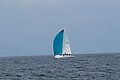 DSC_0006.JPG