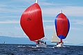 DSC_0700.JPG