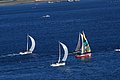 DSC_0298.JPG