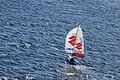 DSC_0352.JPG