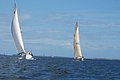 DSC_0102.JPG