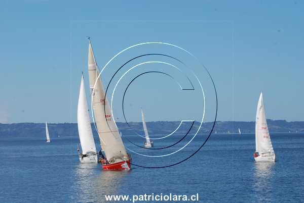 DSC_0497.JPG