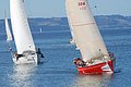 DSC_0500.JPG