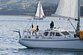 DSC_0417.JPG