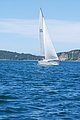 DSC_1161.JPG