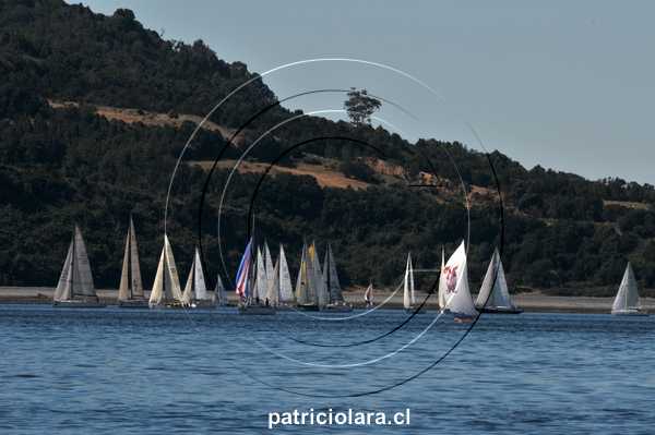 DSC_0694.JPG