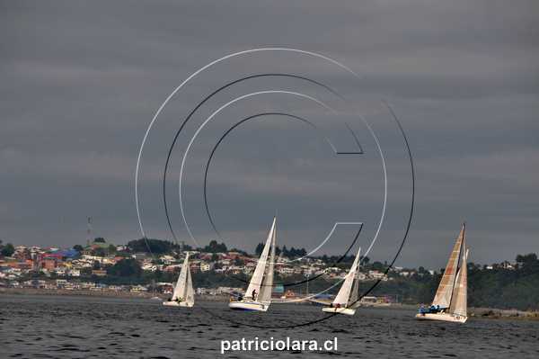 DSC_1197.JPG