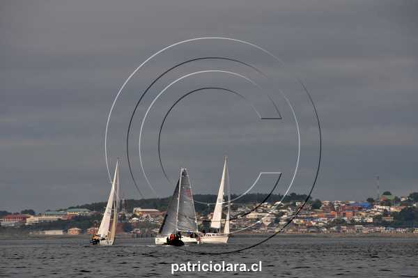 DSC_1198.JPG