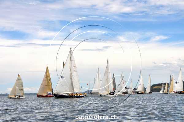 DSC_6472.JPG