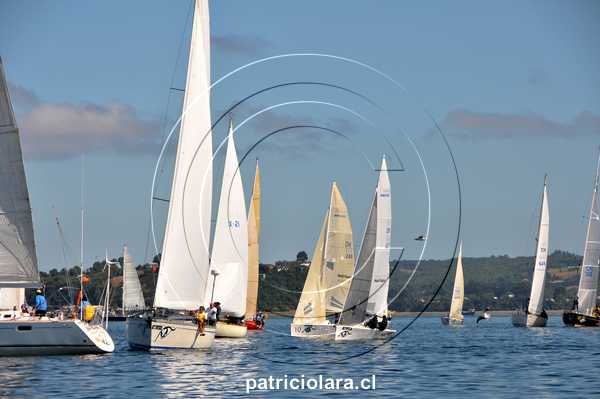 DSC_7291.JPG