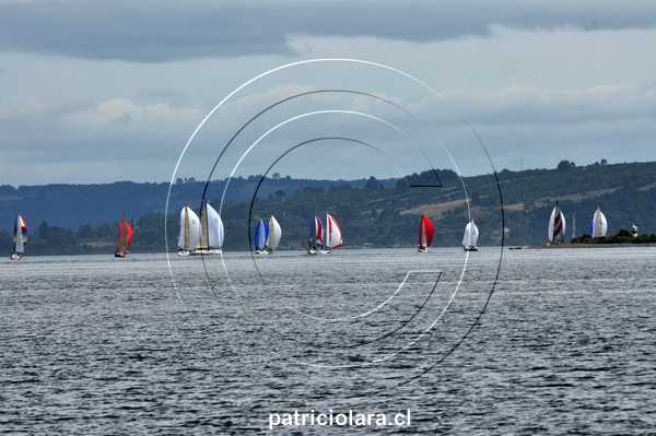 DSC_8520.JPG