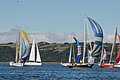 DSC_0604.JPG