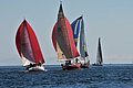 DSC_0651.JPG