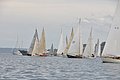 DSC_6457.JPG