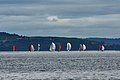 DSC_8516.JPG