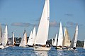 DSC_7296.JPG