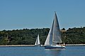 DSC_7497.JPG