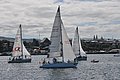 DSC_9667.JPG
