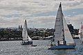 DSC_9669.JPG