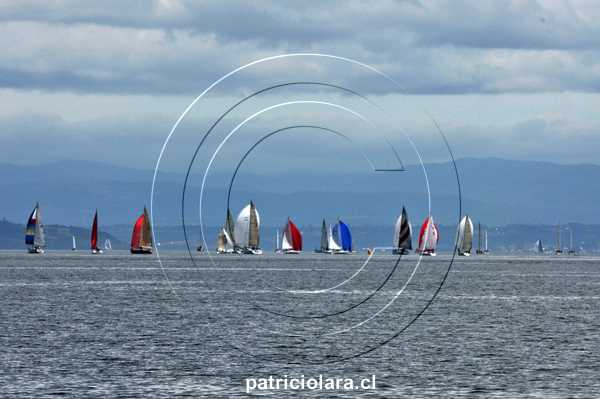 DSC_8533.JPG
