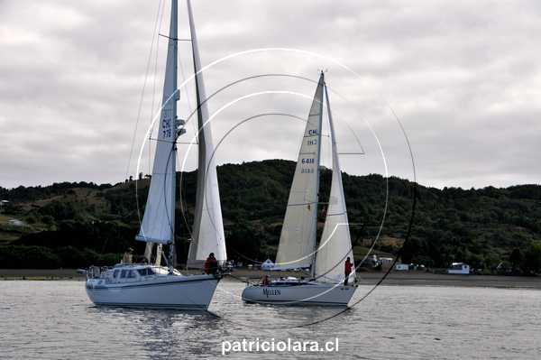 DSC_9384.JPG