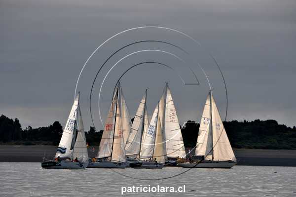DSC_9427.JPG