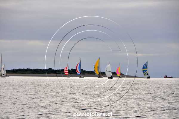 DSC_9506.JPG