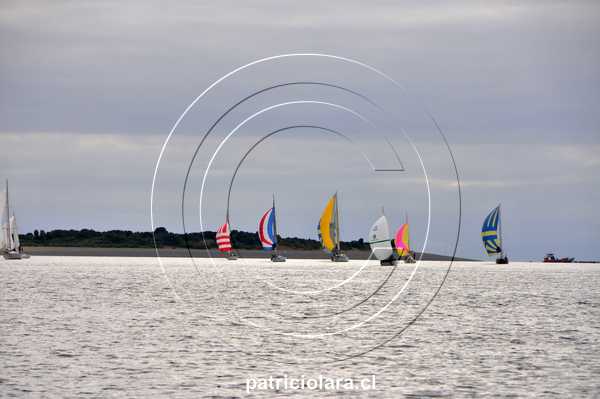 DSC_9507.JPG