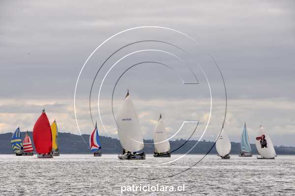 DSC_9531.JPG