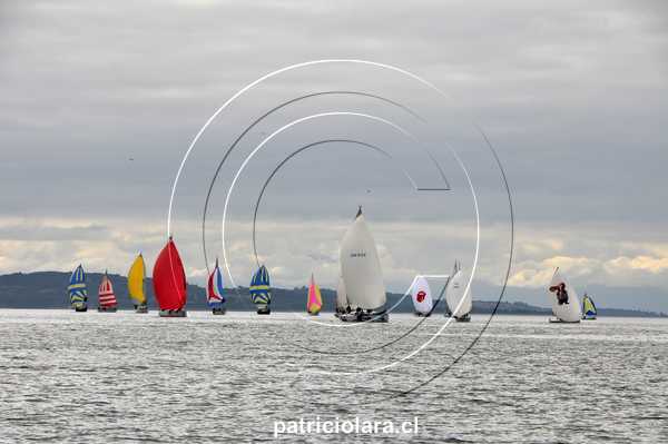 DSC_9532.JPG