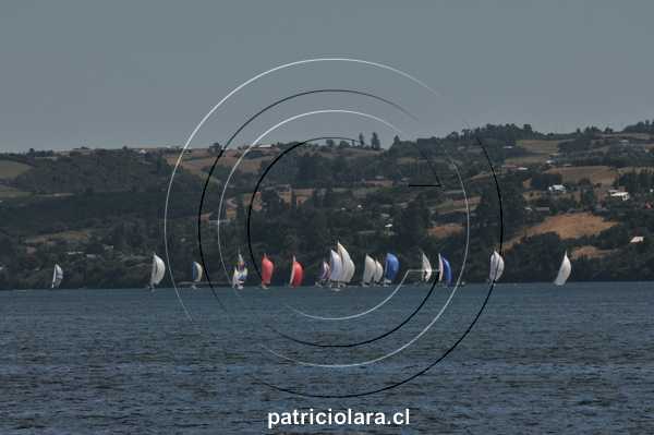 DSC_9577.JPG