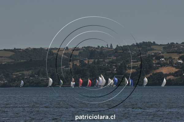 DSC_9578.JPG
