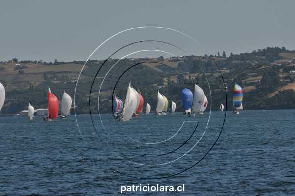 DSC_9612.JPG