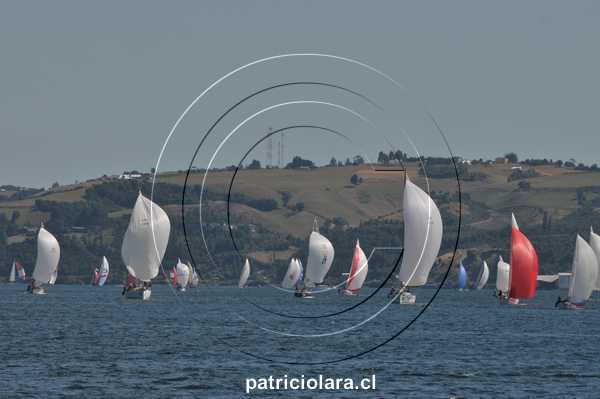 DSC_9614.JPG