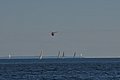 DSC_0805.JPG
