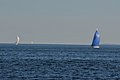DSC_0875.JPG