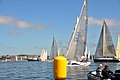 DSC_7226.JPG