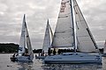 DSC_9382.JPG
