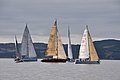 DSC_9409.JPG